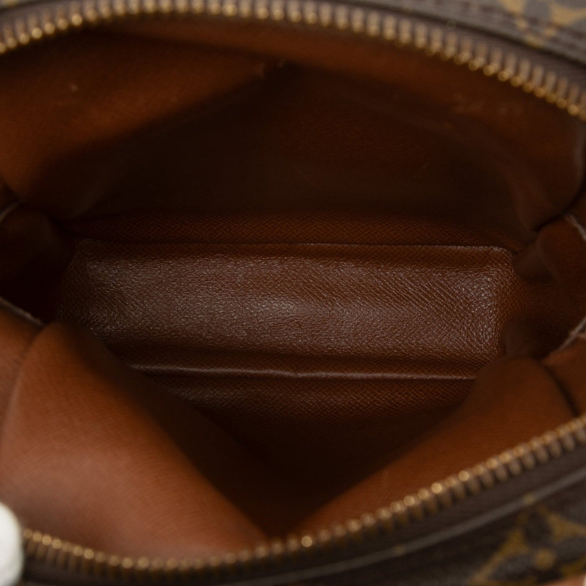 Louis Vuitton Monogram Mini Amazone