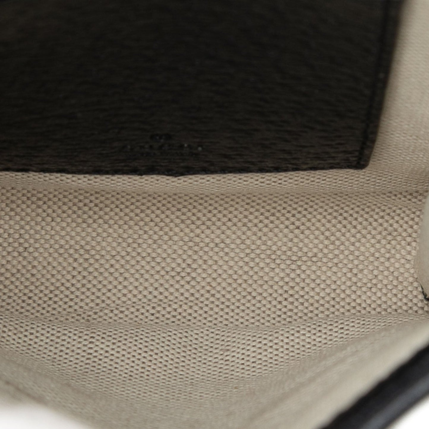 Gucci GG Canvas Phone Case Crossbody