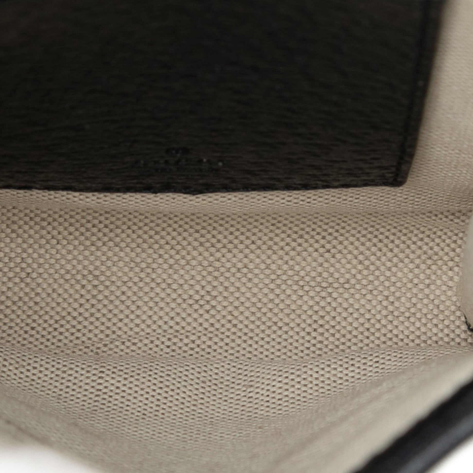 Gucci GG Canvas Phone Case Crossbody