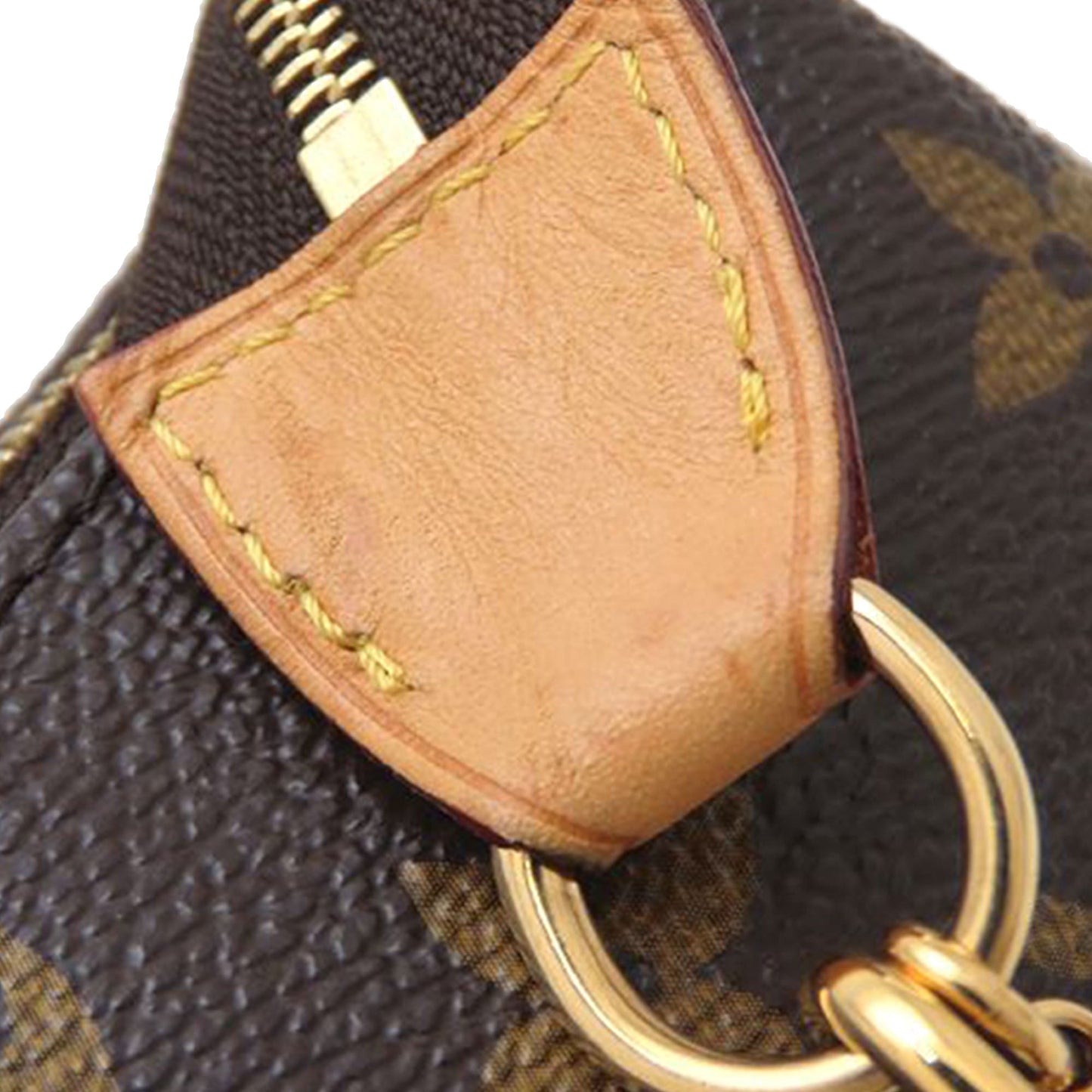 Louis Vuitton Monogram Eva