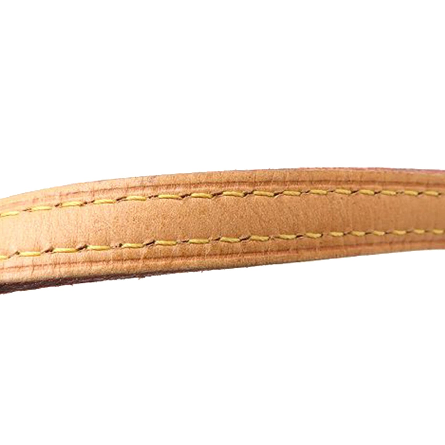 Louis Vuitton Monogram Eva