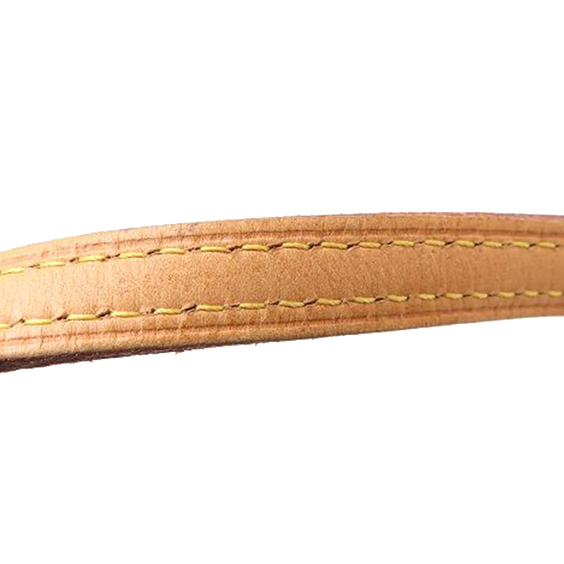 Louis Vuitton Monogram Eva