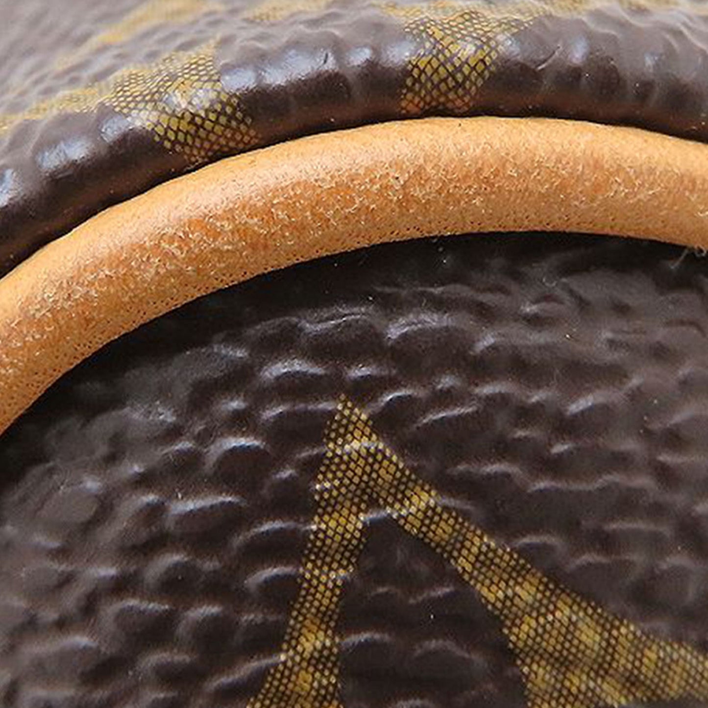 Louis Vuitton Monogram Eva