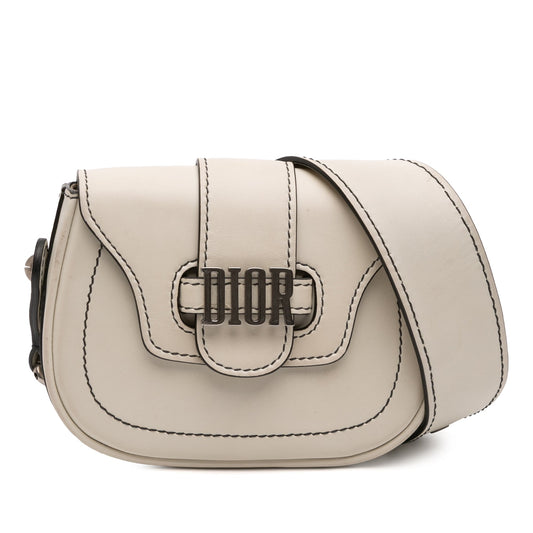 Dior Mini Leather D Fence Saddle Bag