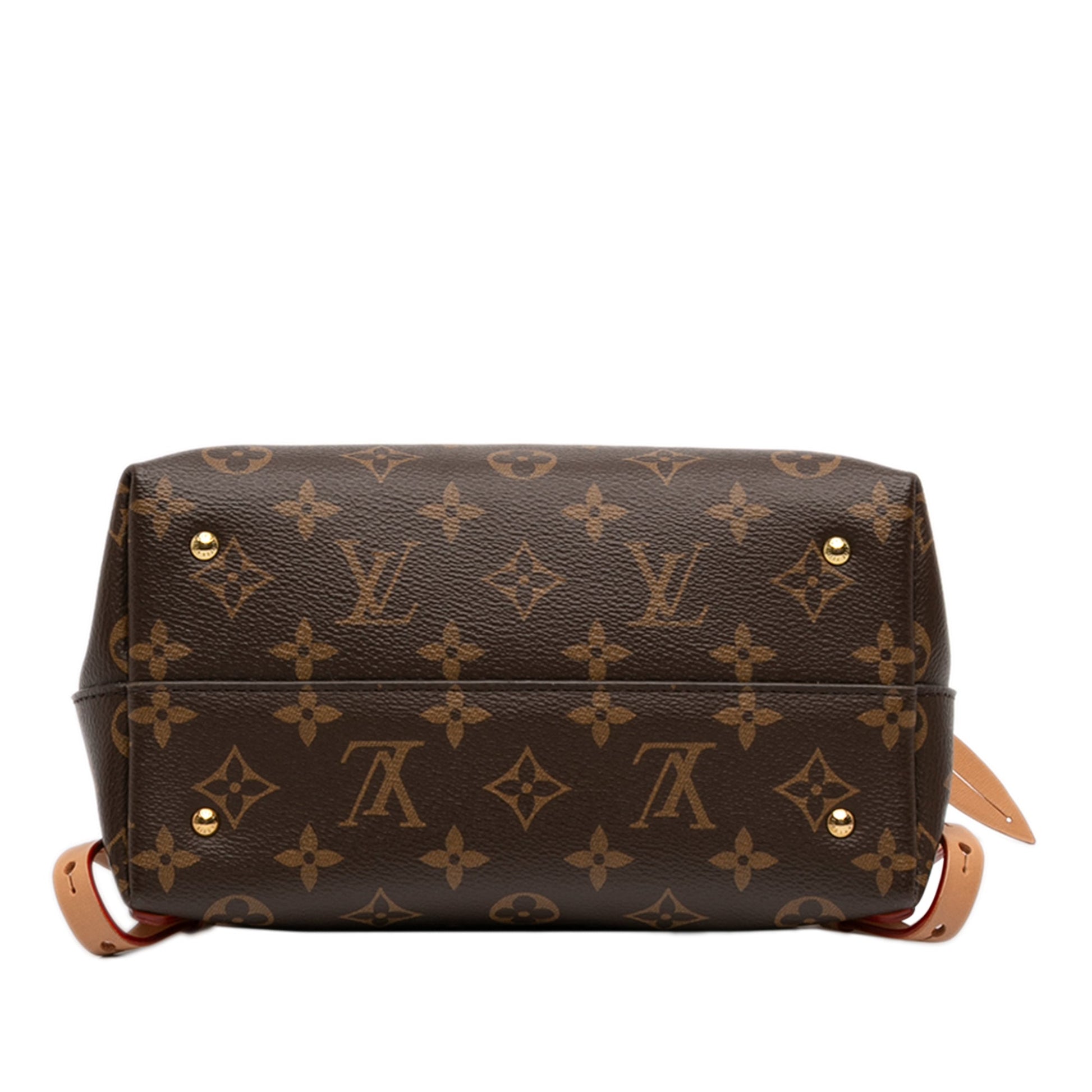 Louis Vuitton Monogram Moon Backpack