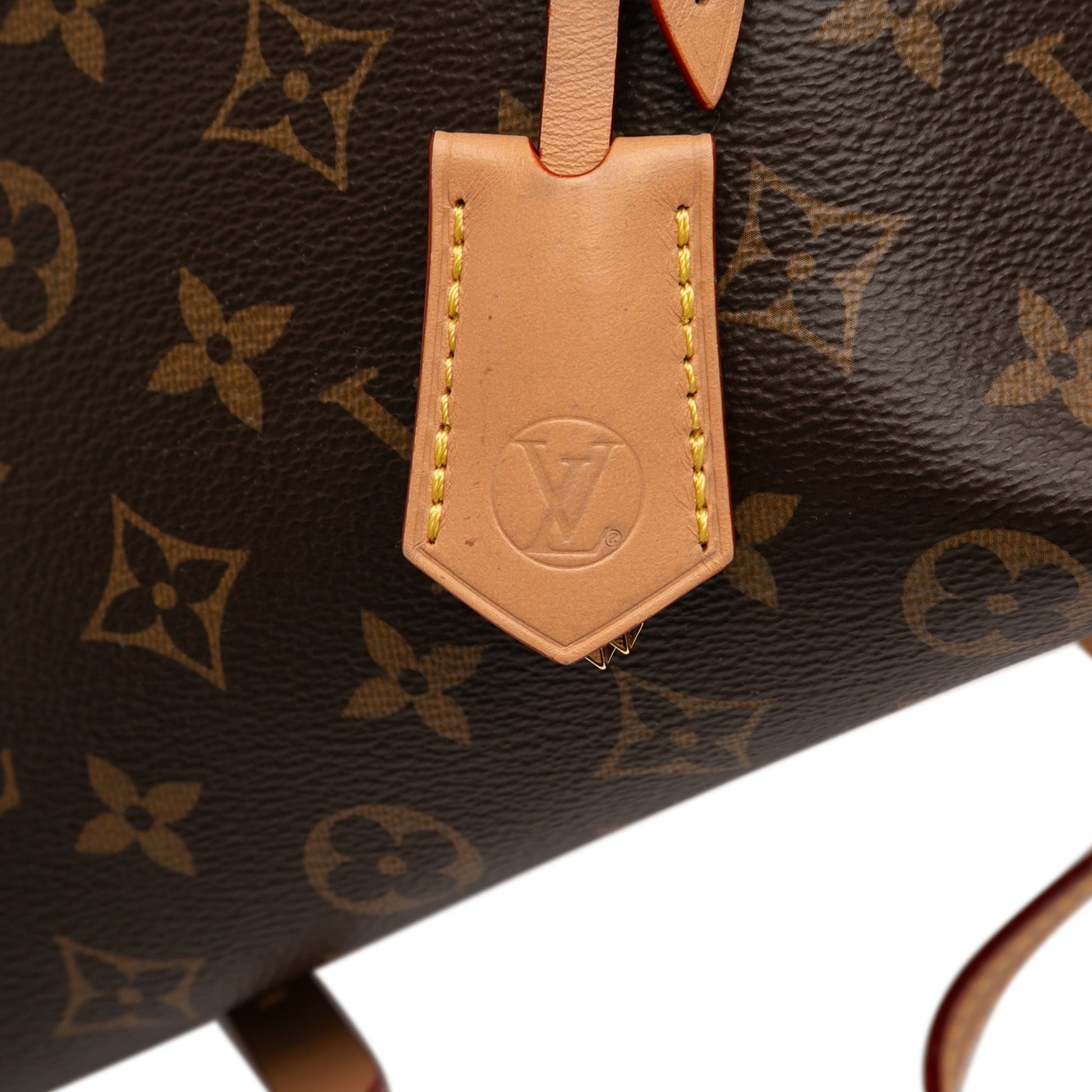 Louis Vuitton Monogram Moon Backpack