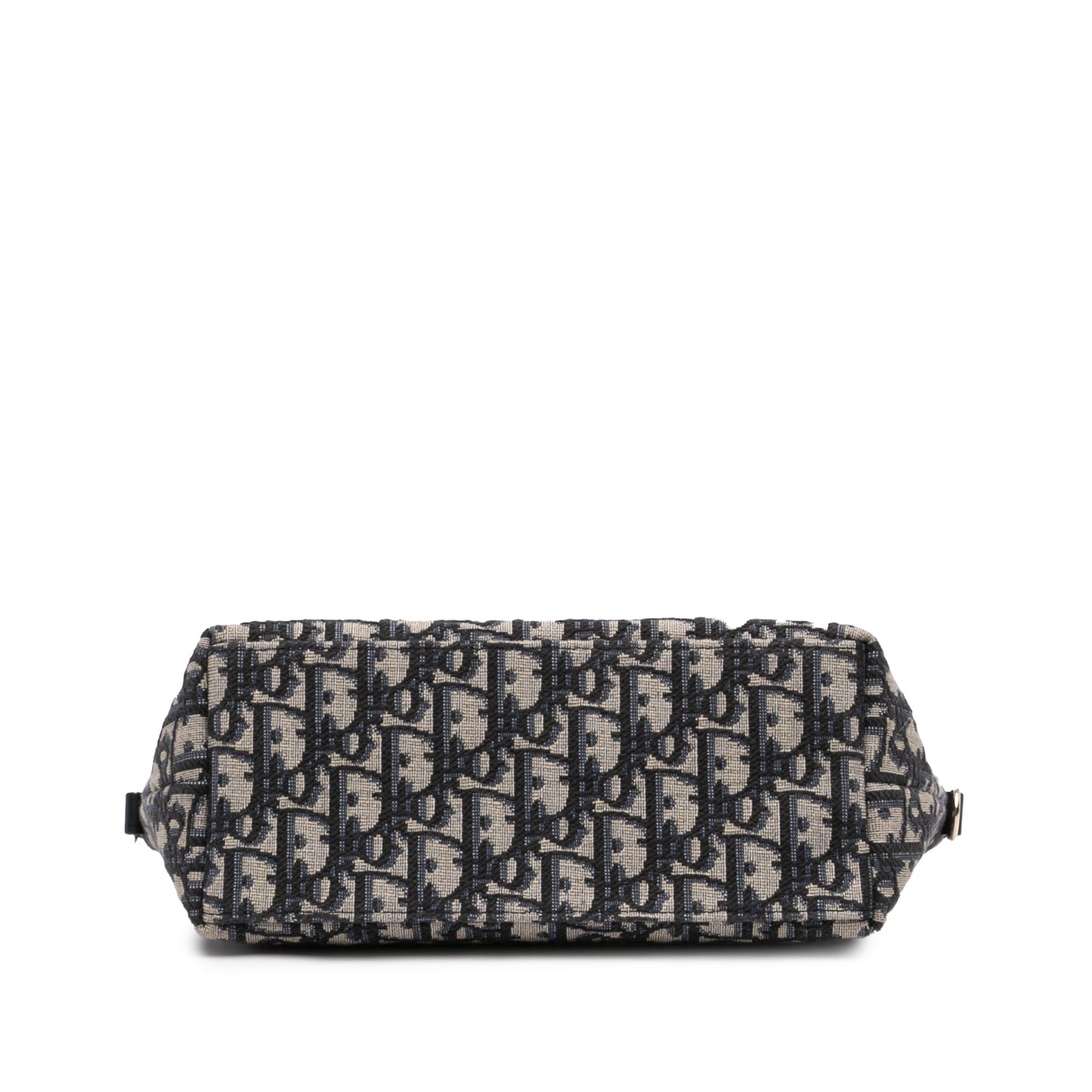 Dior Medium Oblique Canvas Diortravel Nomad Pouch