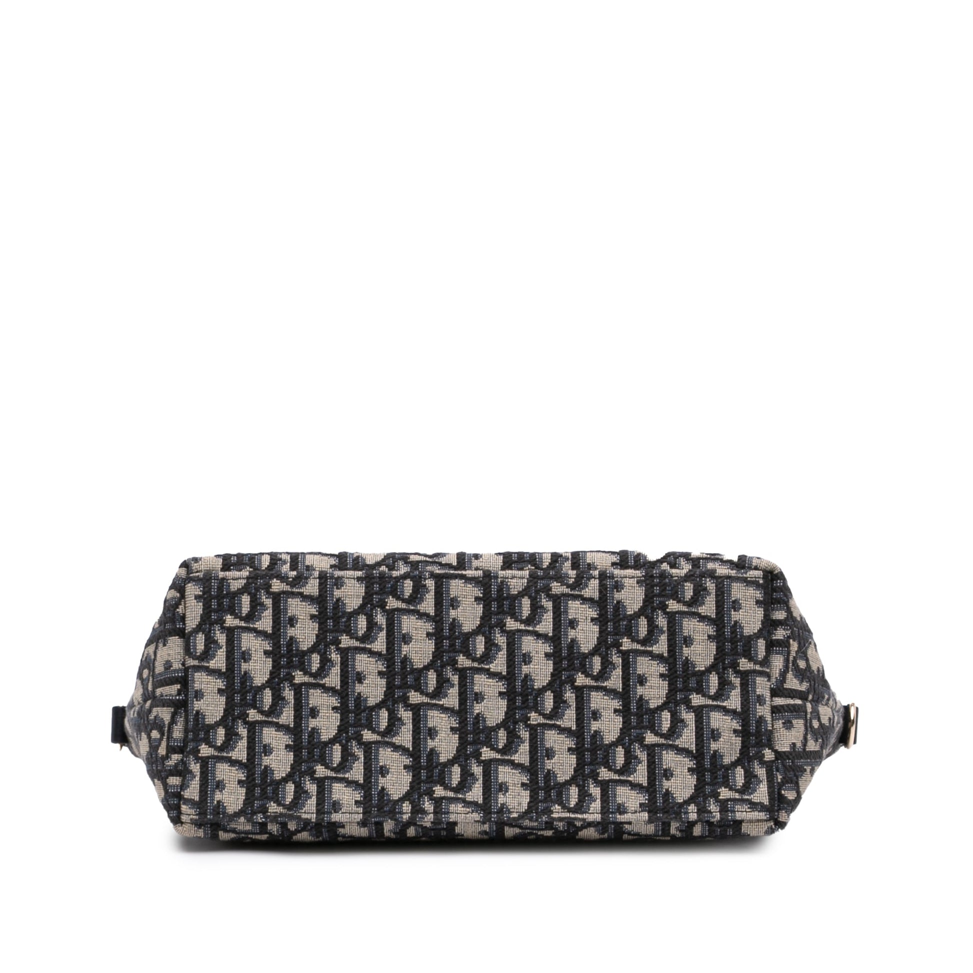 Dior Medium Oblique Canvas Diortravel Nomad Pouch