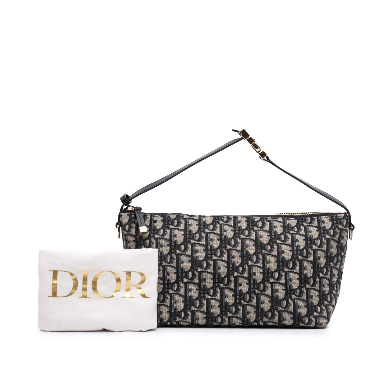 Dior Medium Oblique Canvas Diortravel Nomad Pouch