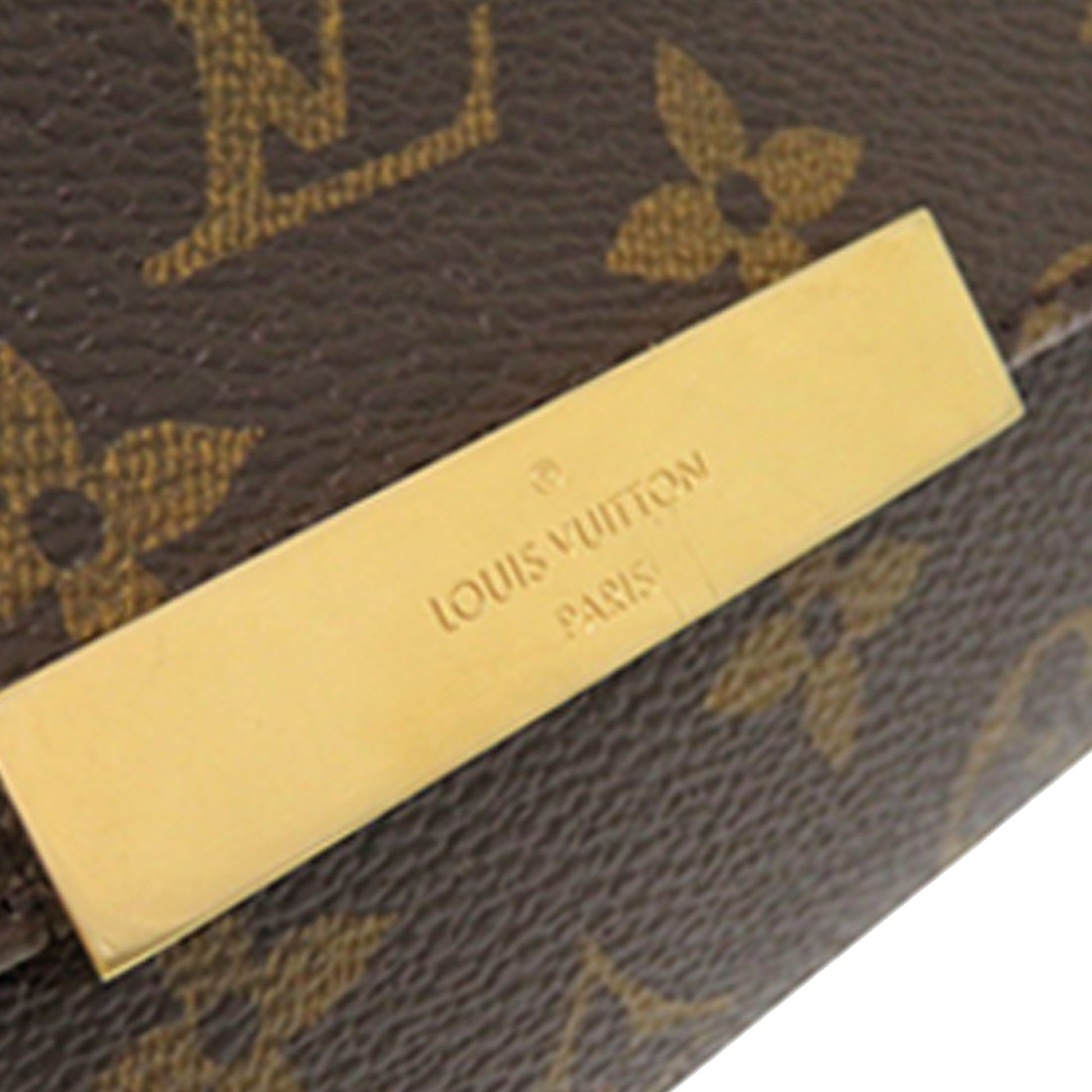 Louis Vuitton Monogram Favorite PM