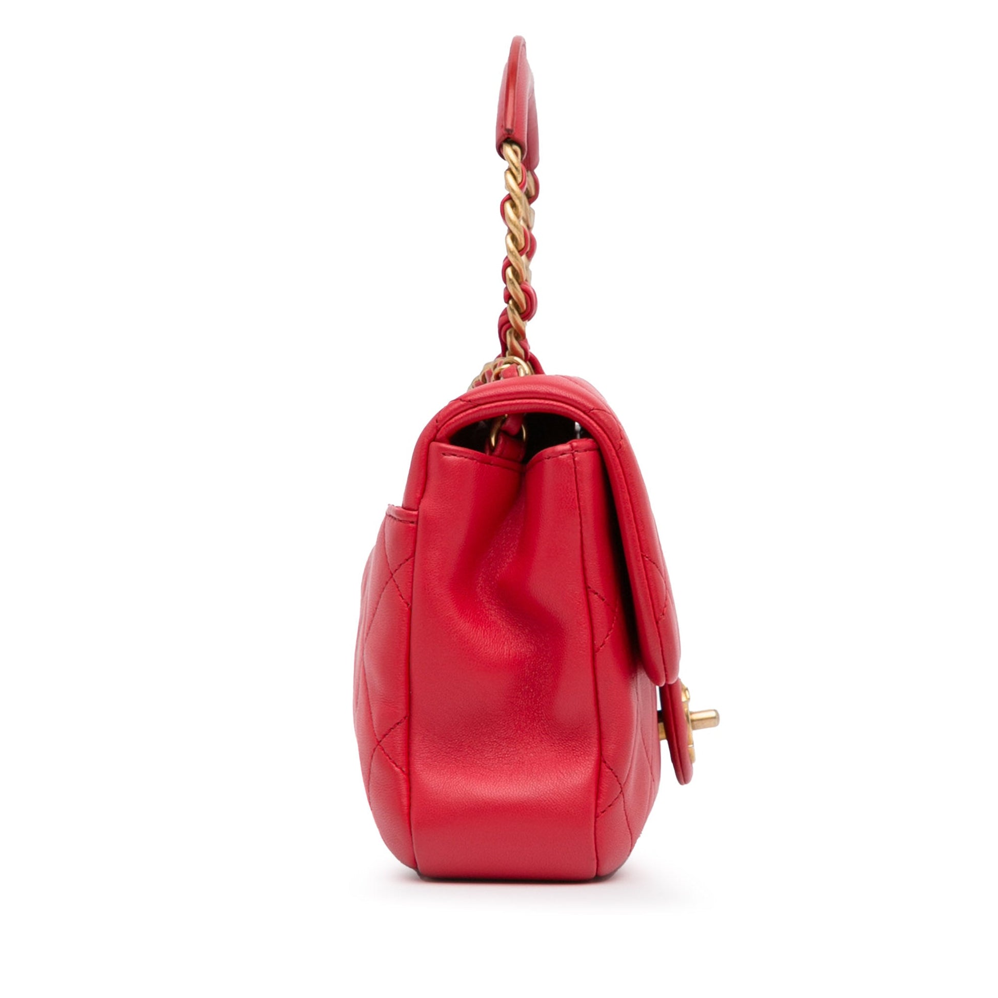 Chanel Medium Lambskin In The Loop Flap