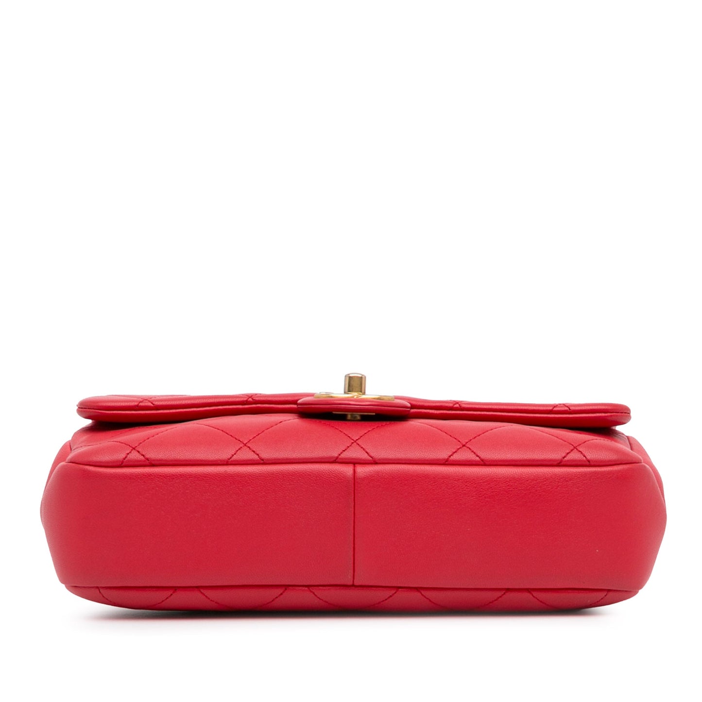 Chanel Medium Lambskin In The Loop Flap