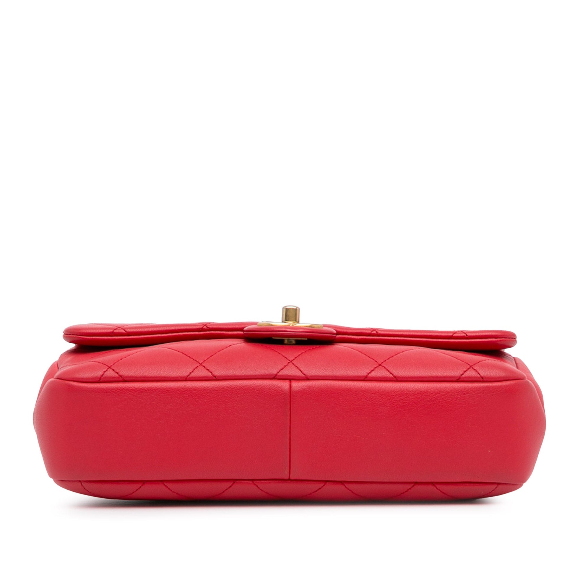 Chanel Medium Lambskin In The Loop Flap