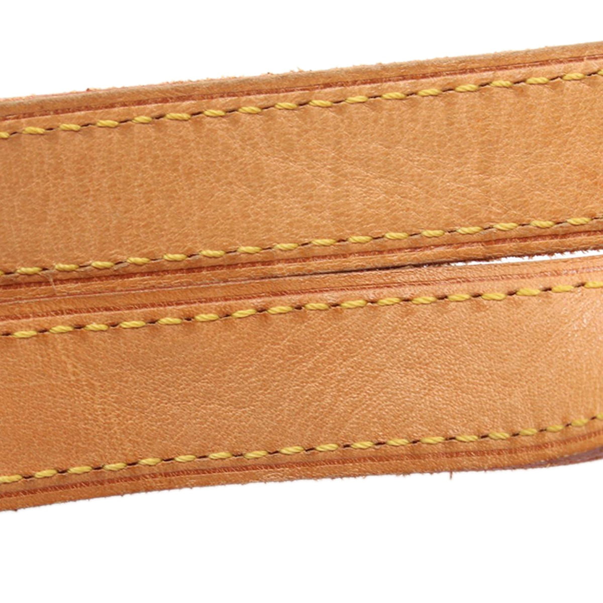 Louis Vuitton Monogram Cite GM