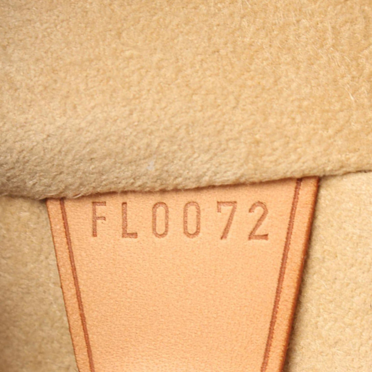 Louis Vuitton Monogram Cite GM