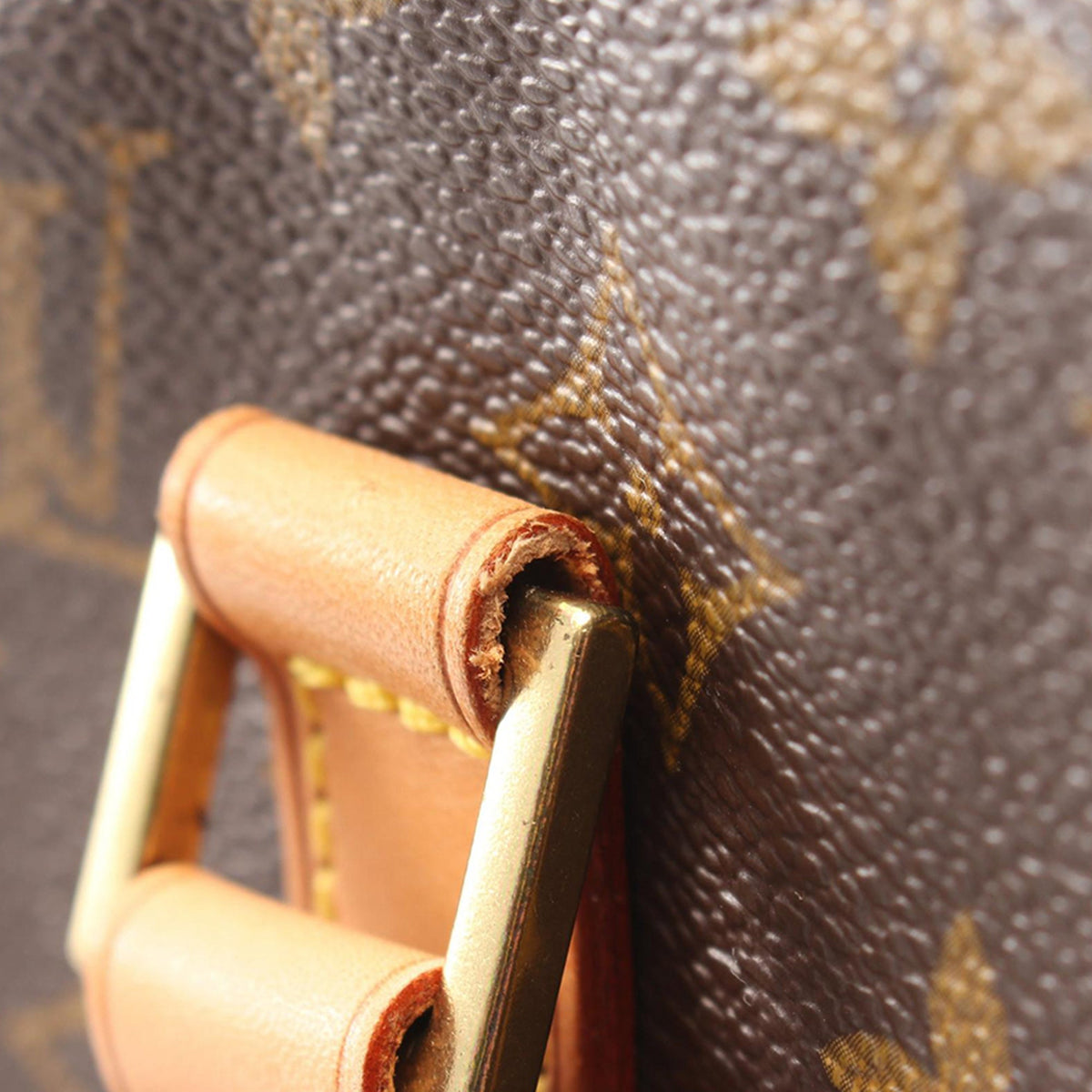 Louis Vuitton Monogram Cite GM