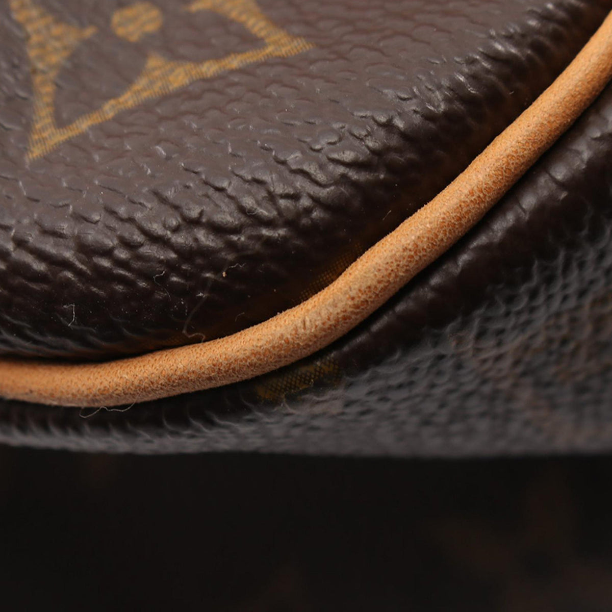 Louis Vuitton Monogram Cite GM