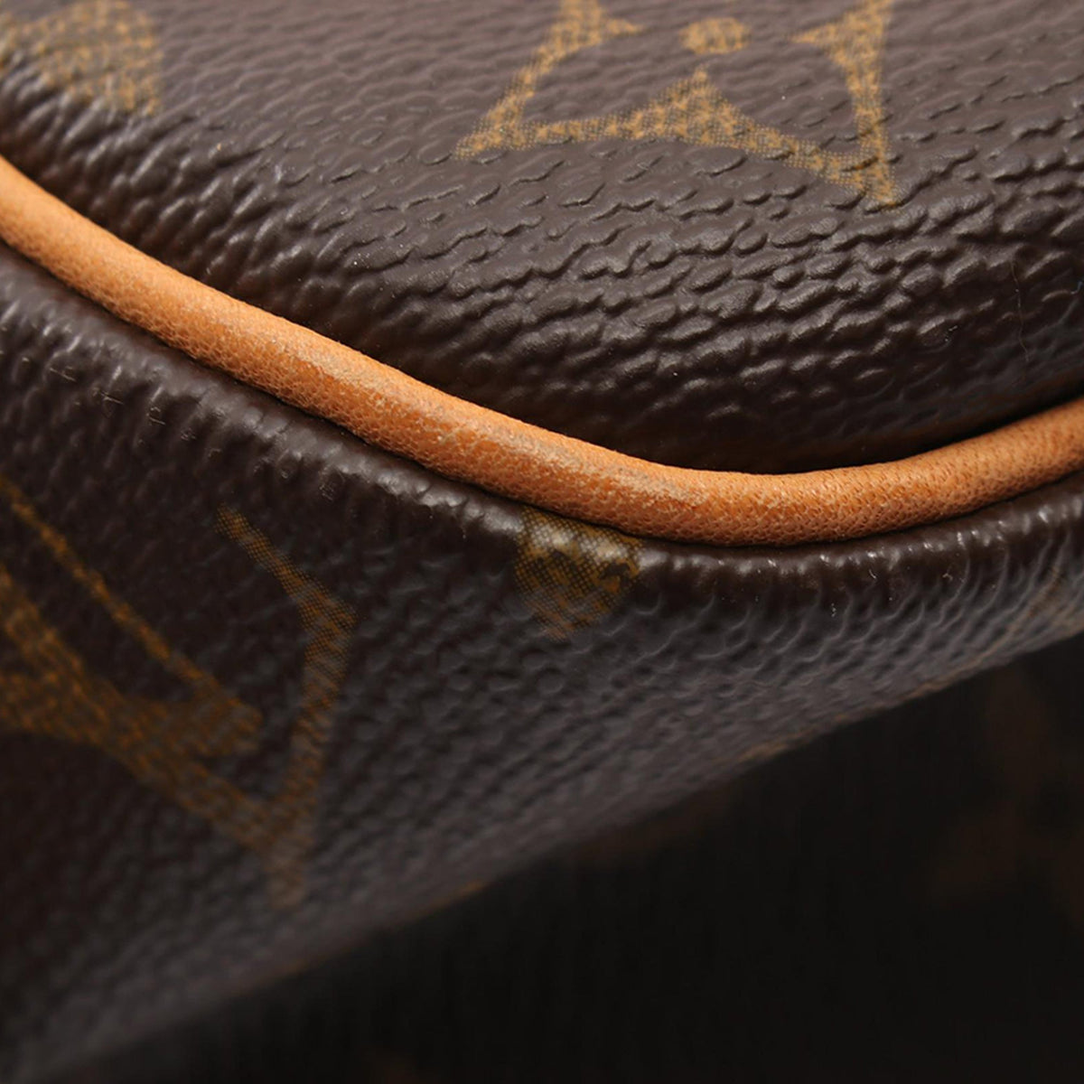 Louis Vuitton Monogram Cite GM