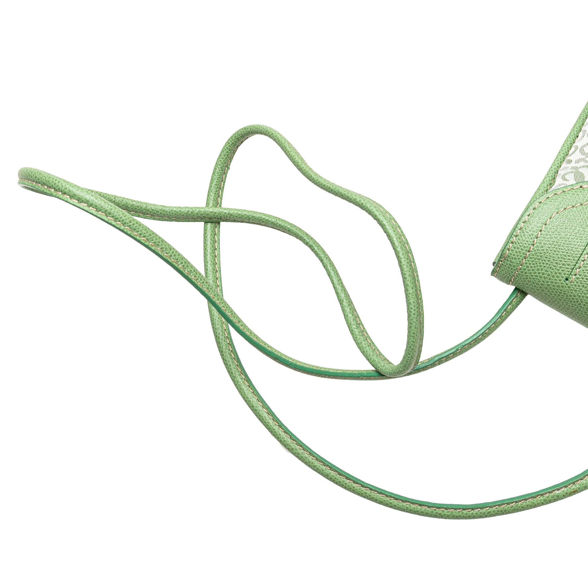 LOEWE Anagram Canvas Crossbody