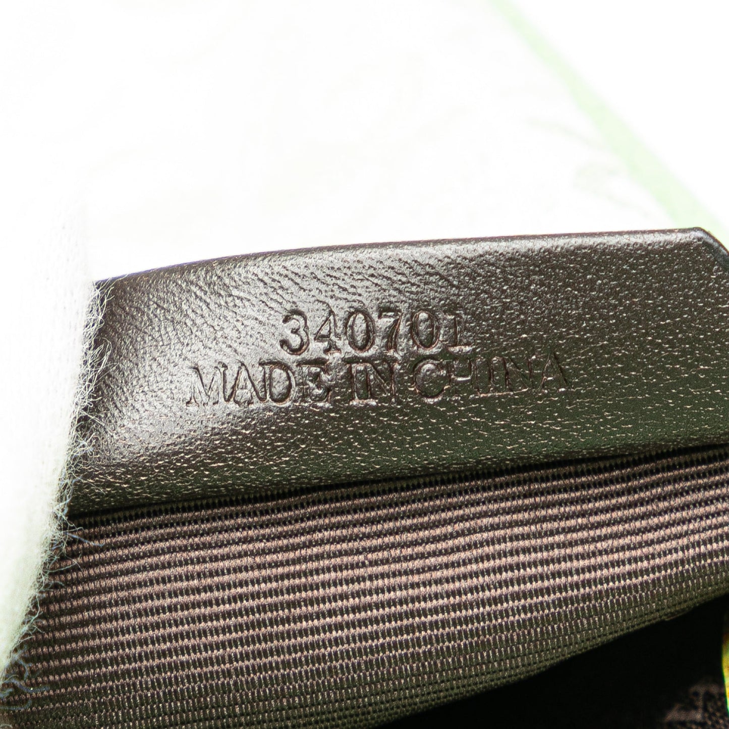 LOEWE Anagram Canvas Crossbody