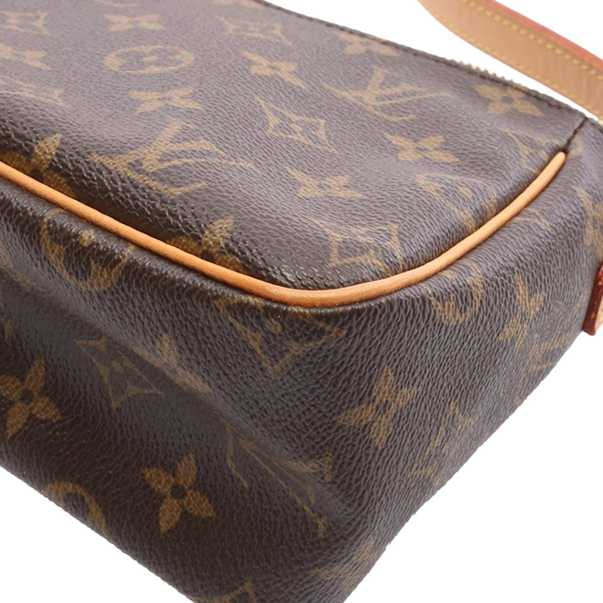 Louis Vuitton Monogram Viva Cite PM — Brown