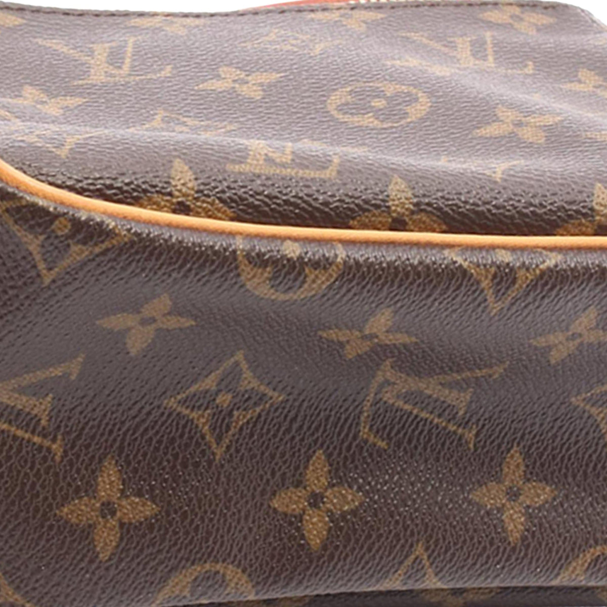 Louis Vuitton Monogram Viva Cite PM — Brown