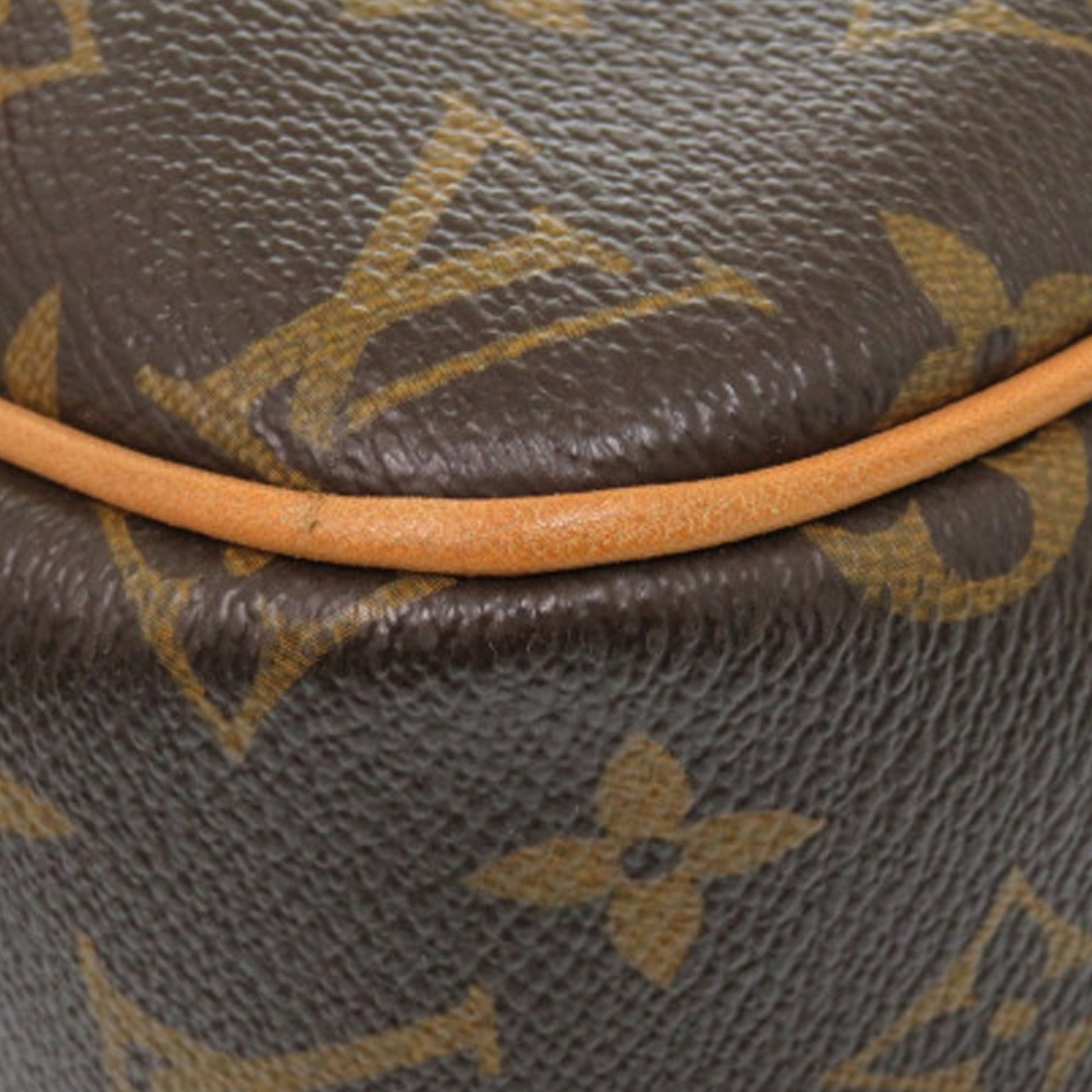 Louis Vuitton Monogram Reporter PM