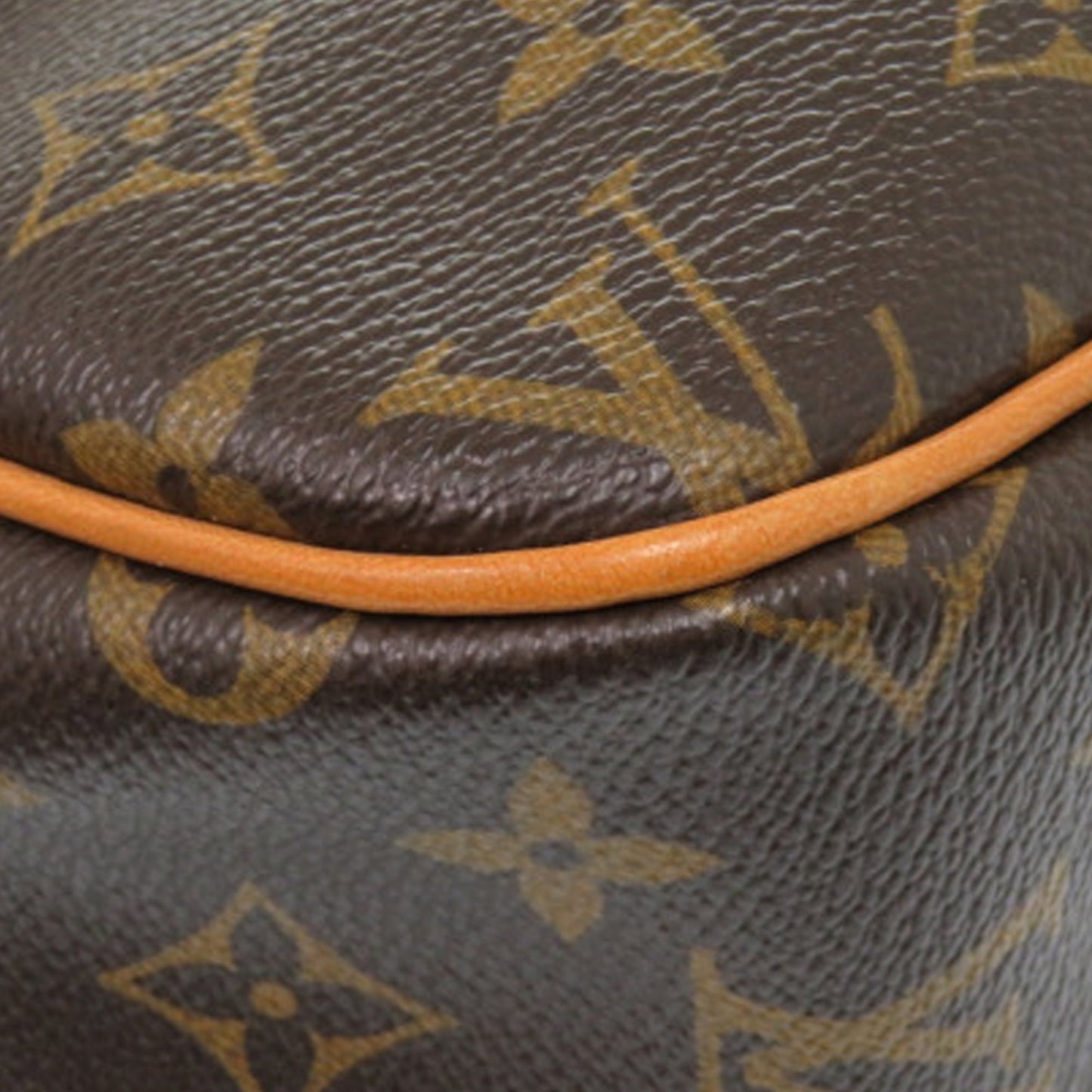 Louis Vuitton Monogram Reporter PM