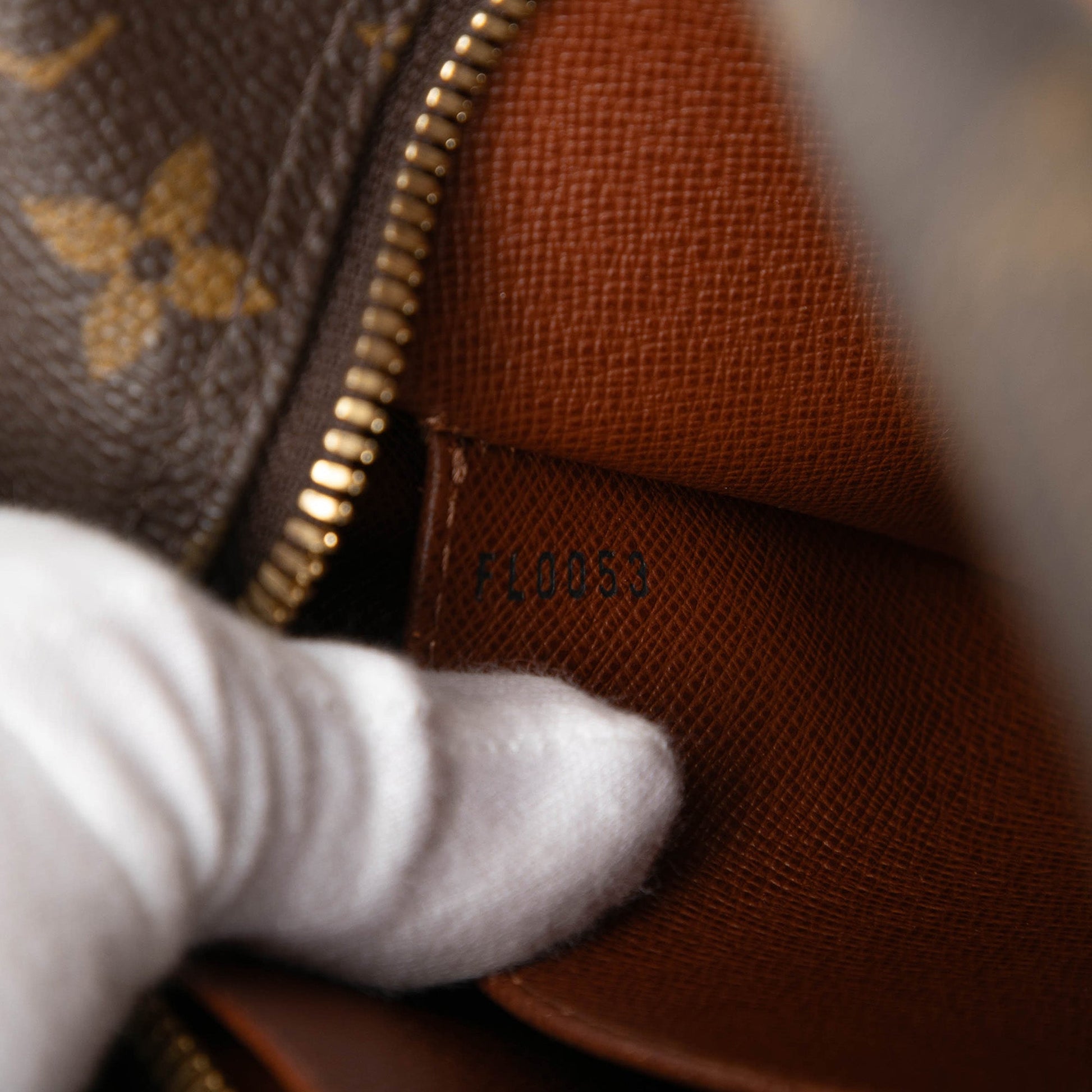 Louis Vuitton Monogram Cite MM