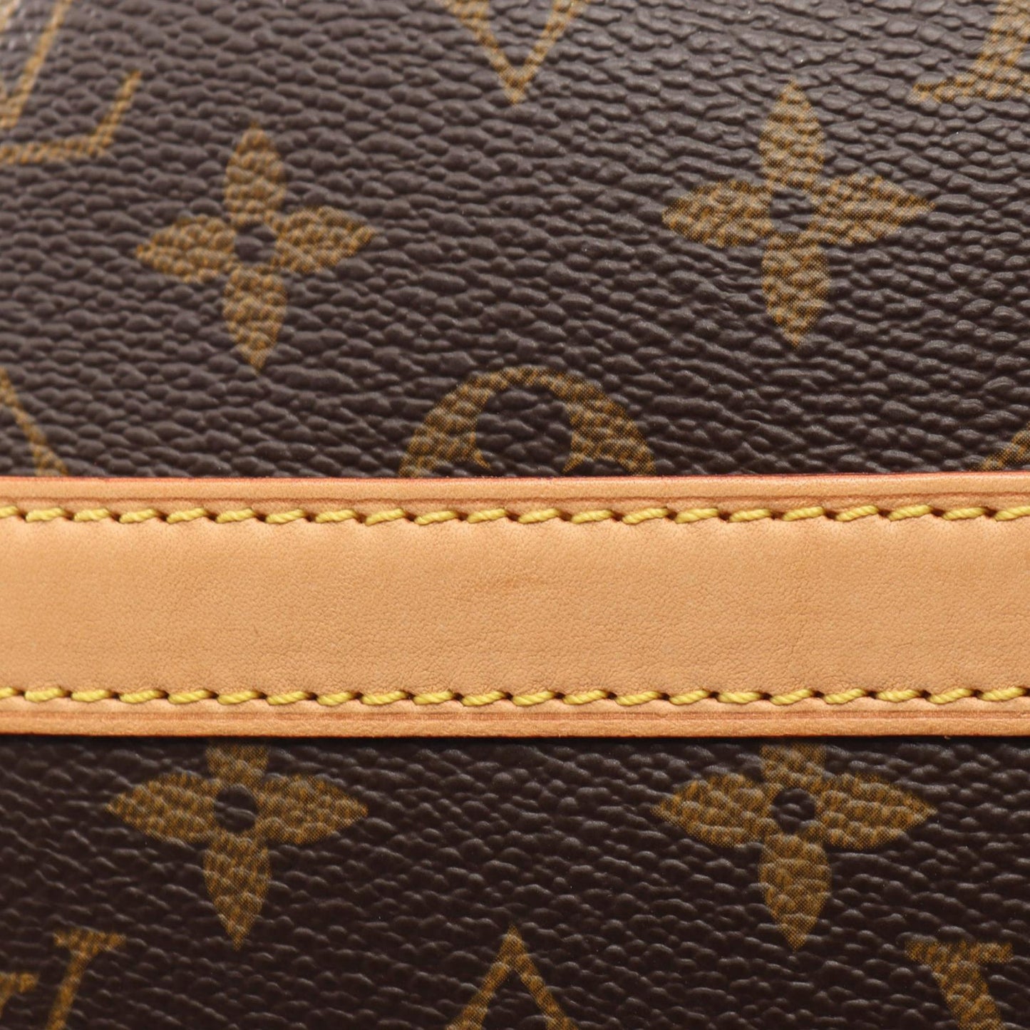 Louis Vuitton Monogram Reporter PM