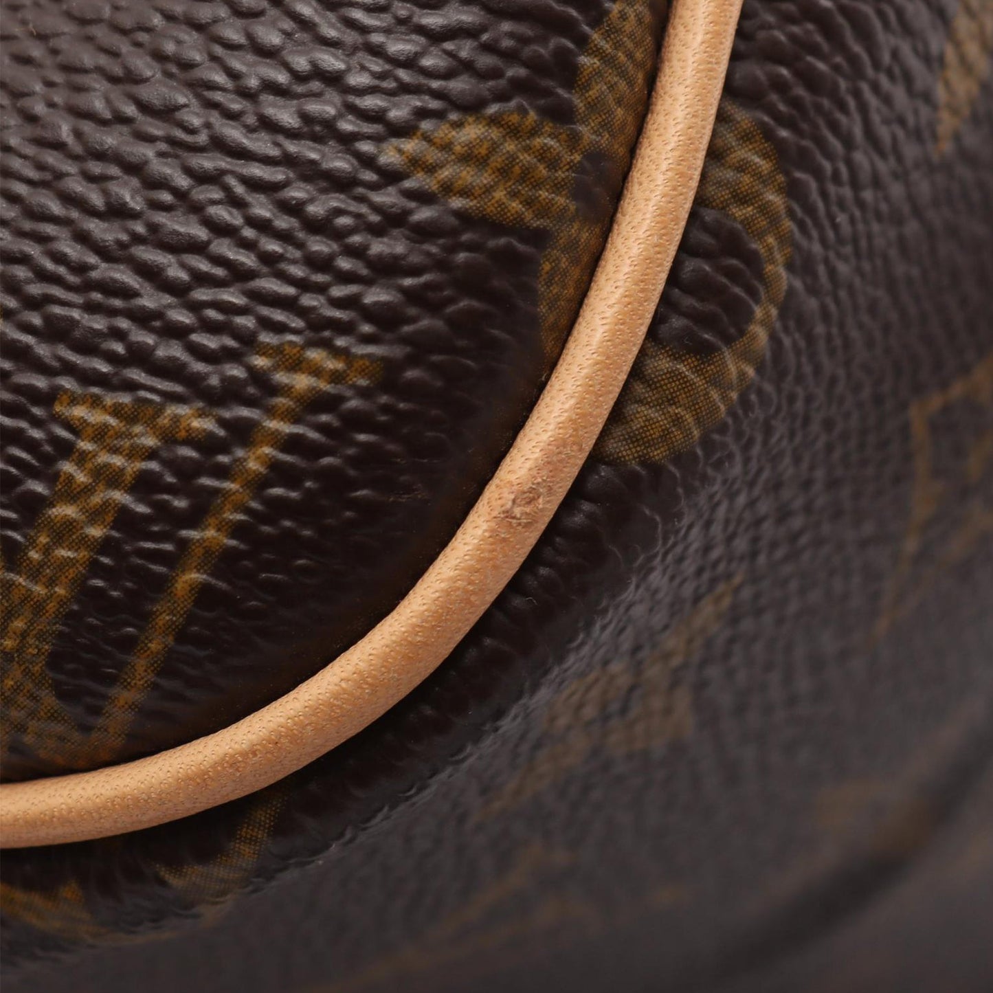 Louis Vuitton Monogram Reporter PM