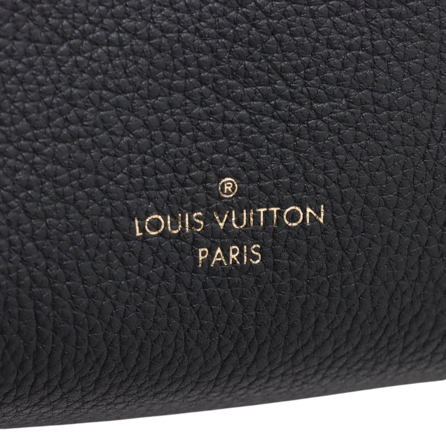 Louis Vuitton Grained Calfskin Side Trunk PM