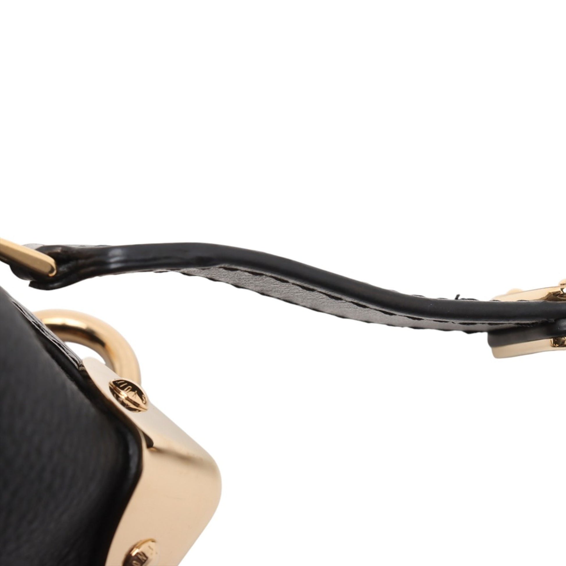 Louis Vuitton Grained Calfskin Side Trunk PM