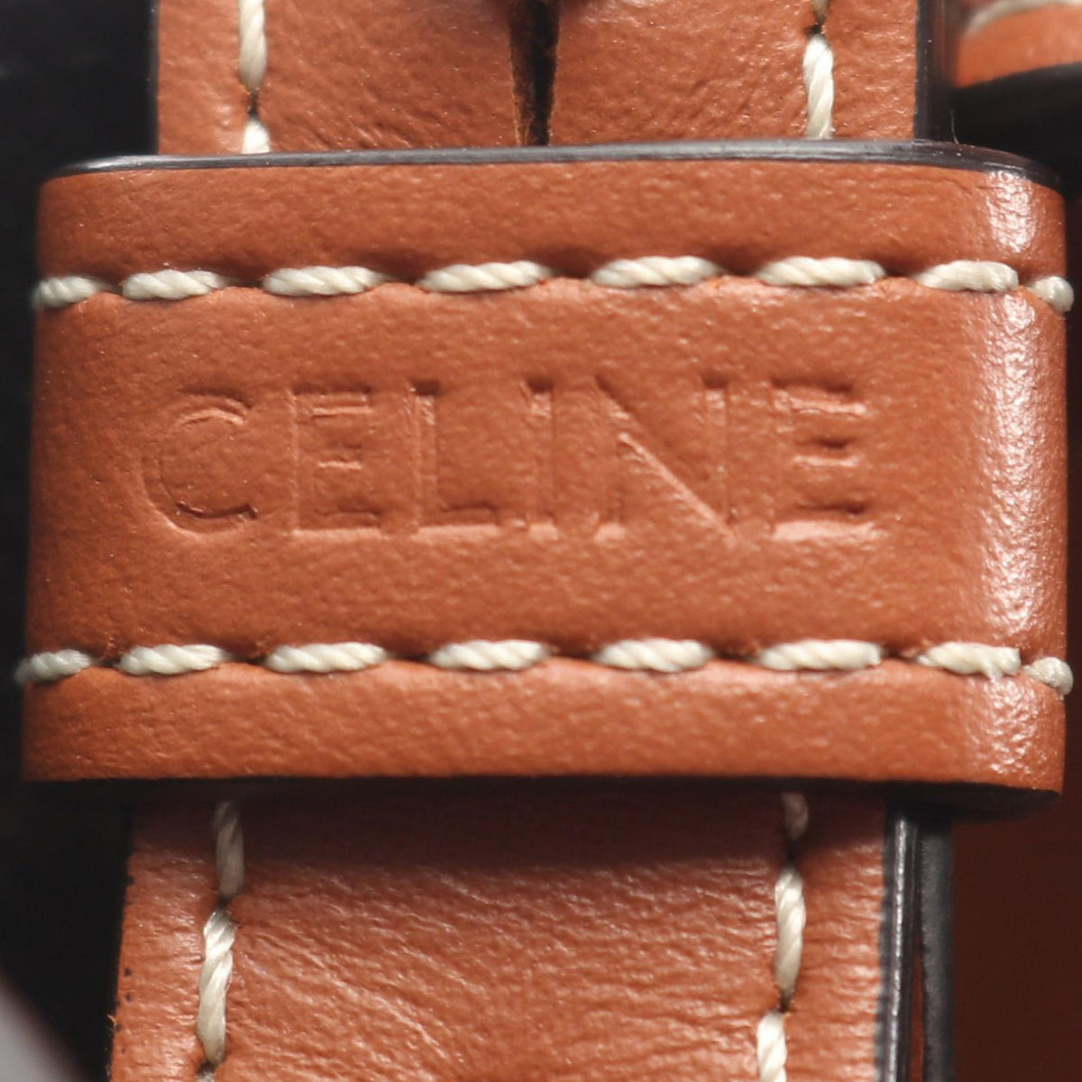 Celine Small Triomphe Coated Canvas Vertical Cabas Tote
