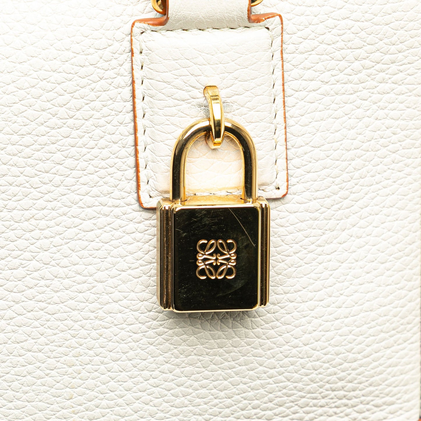 LOEWE Leather Amazona Square 19