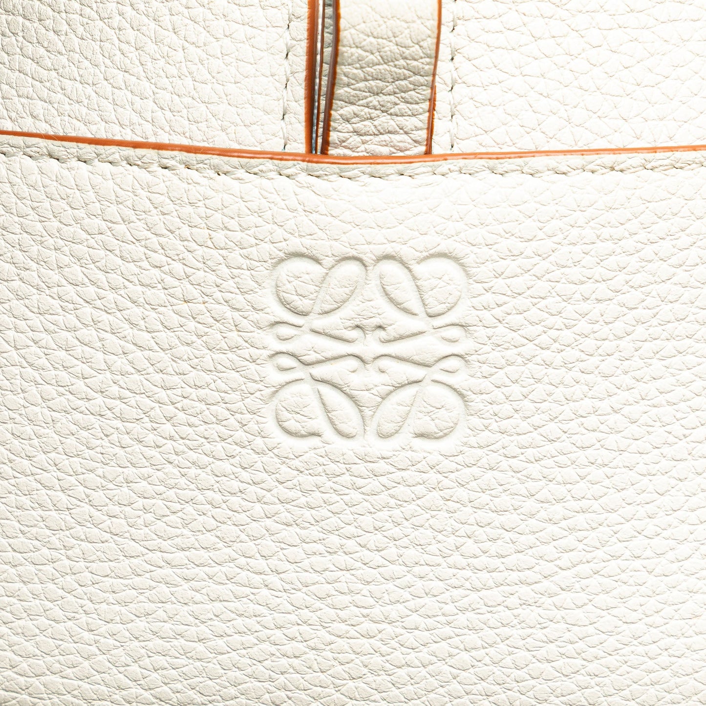 LOEWE Leather Amazona Square 19
