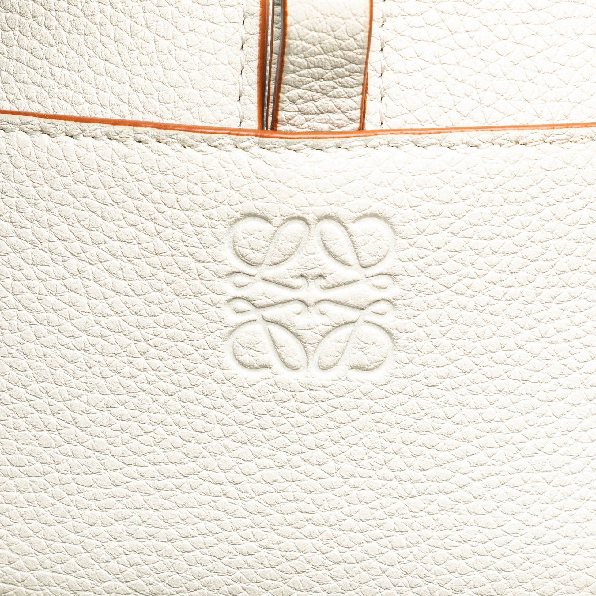 LOEWE Leather Amazona Square 19