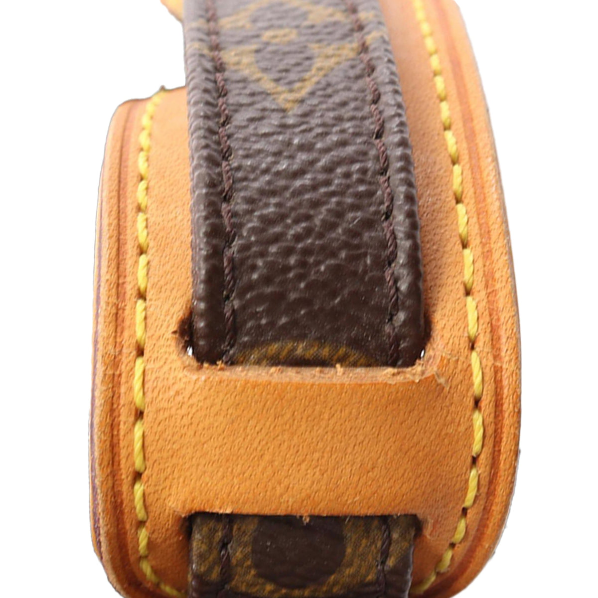 Louis Vuitton Monogram Amazone — Brown