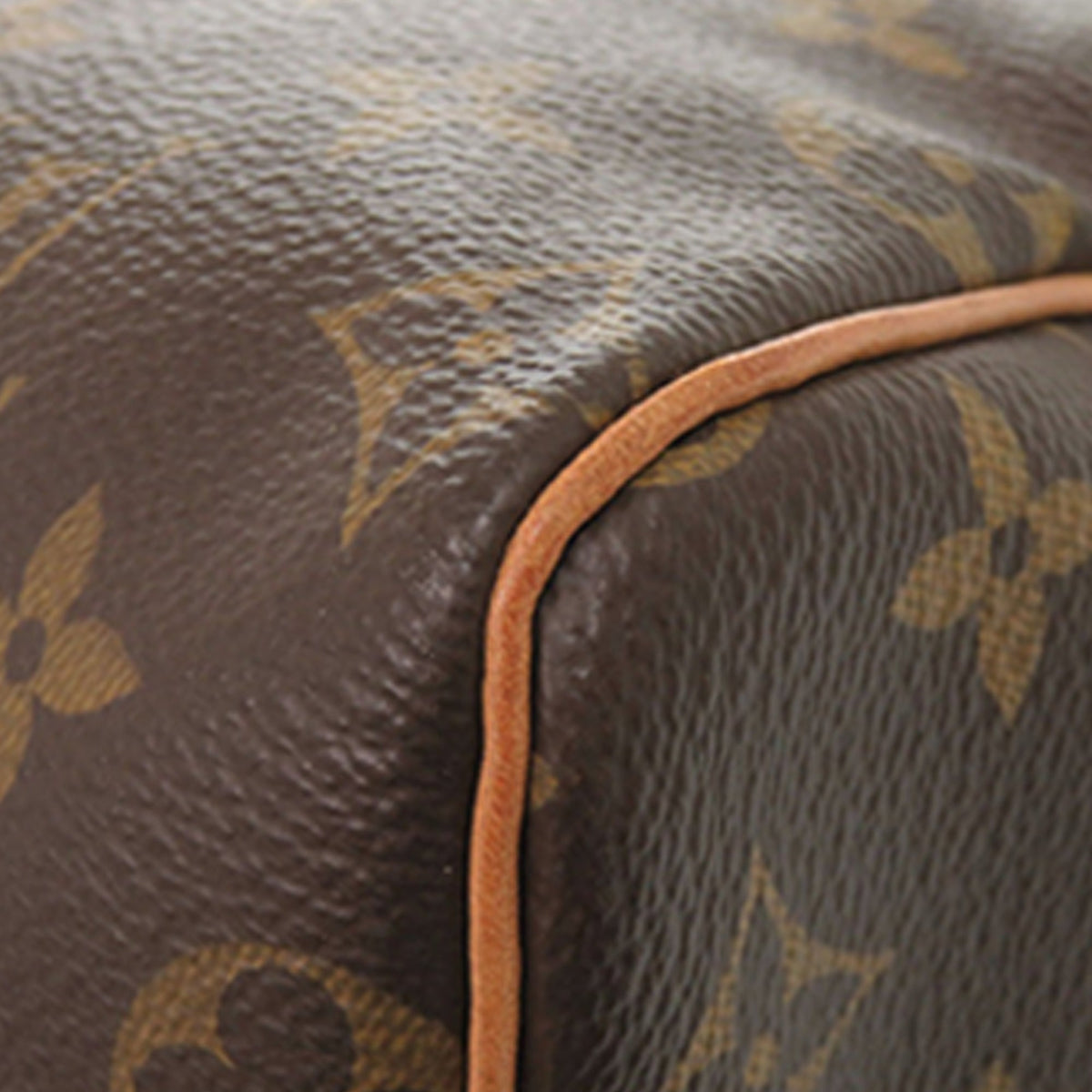 Louis Vuitton Monogram Speedy 25