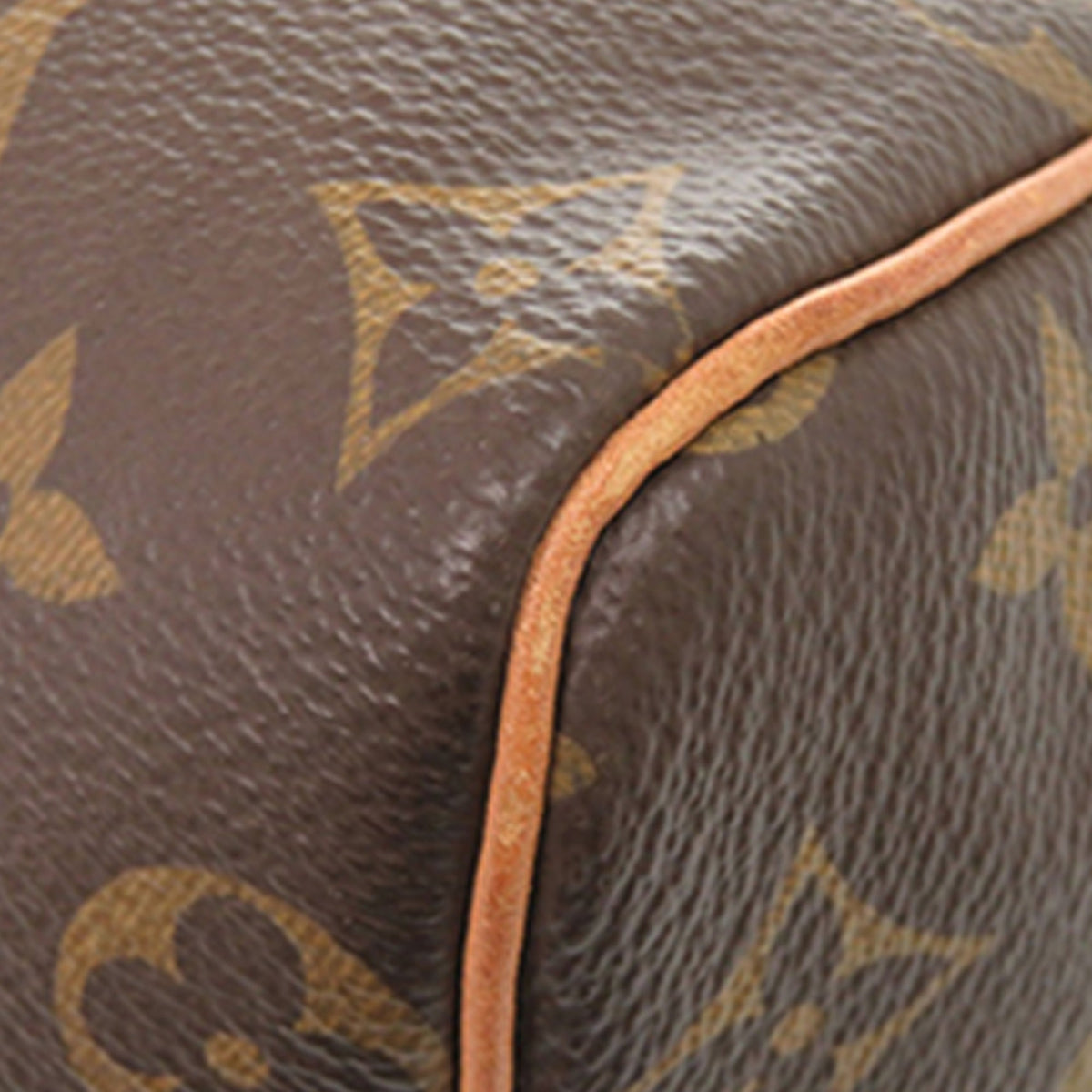 Louis Vuitton Monogram Speedy 25