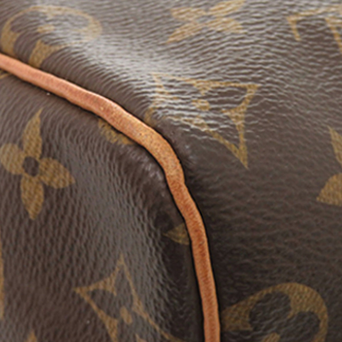 Louis Vuitton Monogram Speedy 25