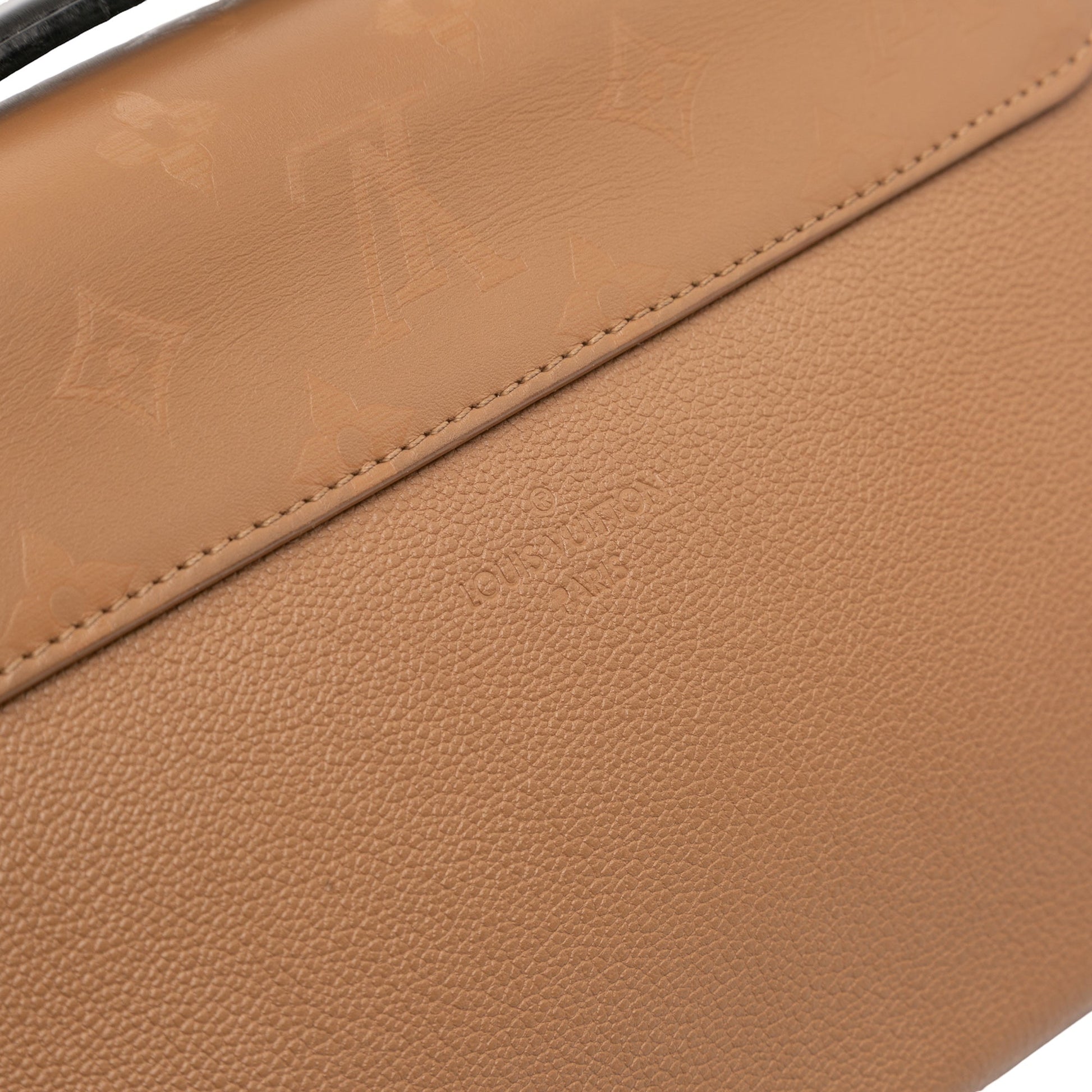 Louis Vuitton Bicolor Monogram Cuir Plume Ecume Very Chain Bag