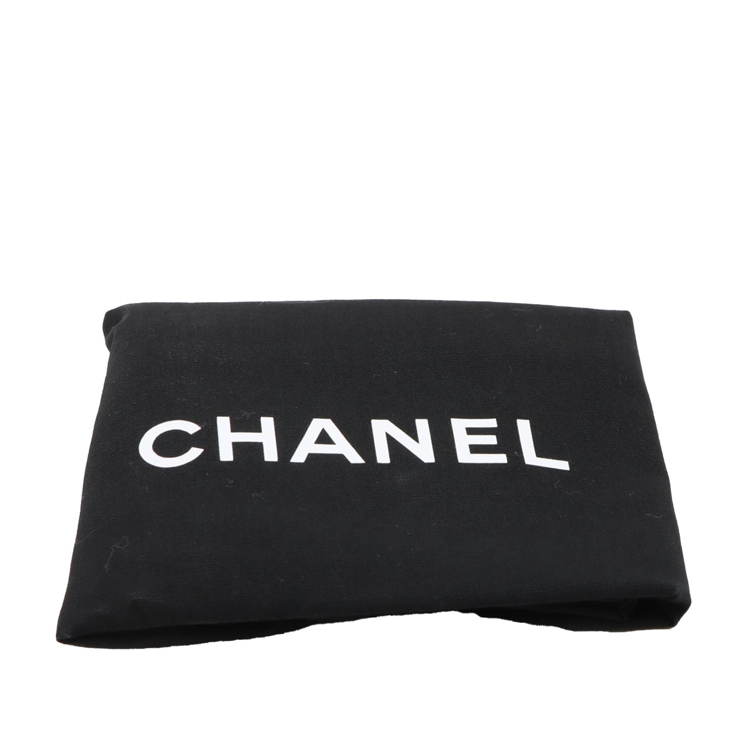 Chanel Medium Canvas 19 Flap