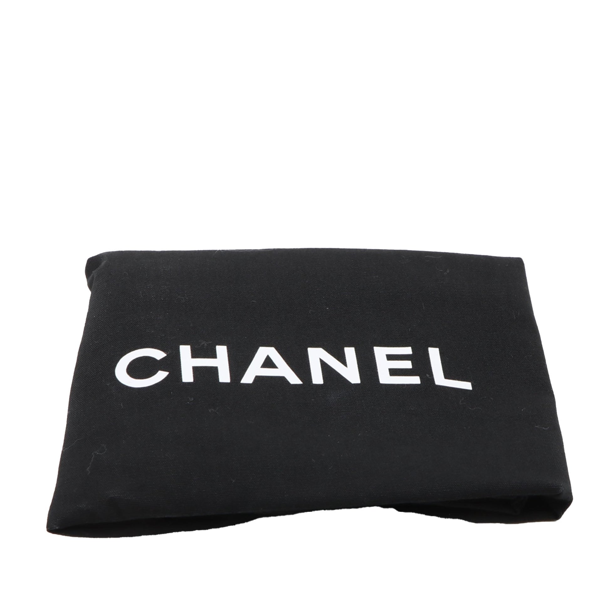 Chanel Medium Canvas 19 Flap