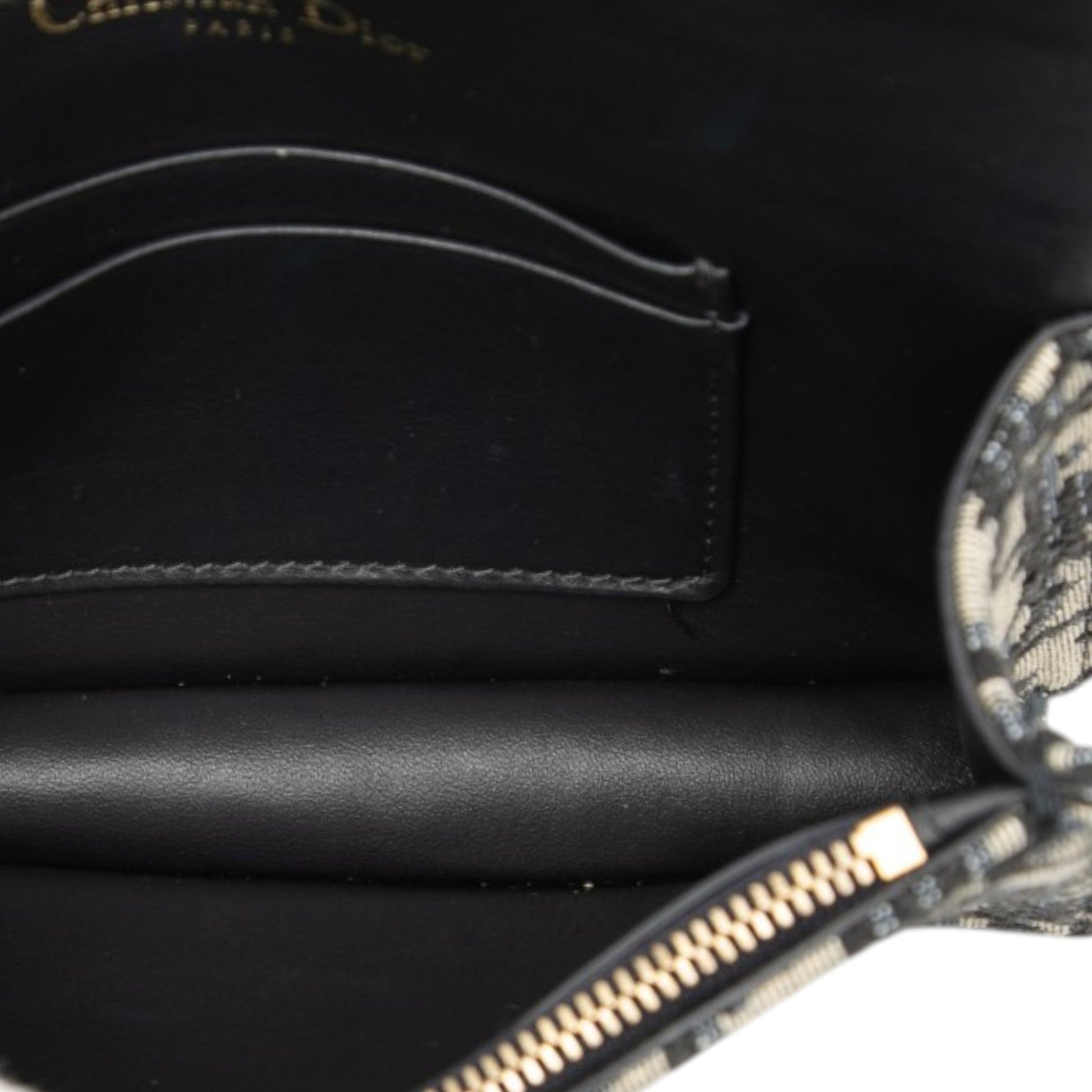 Dior Oblique Canvas Saddle Belt Bag