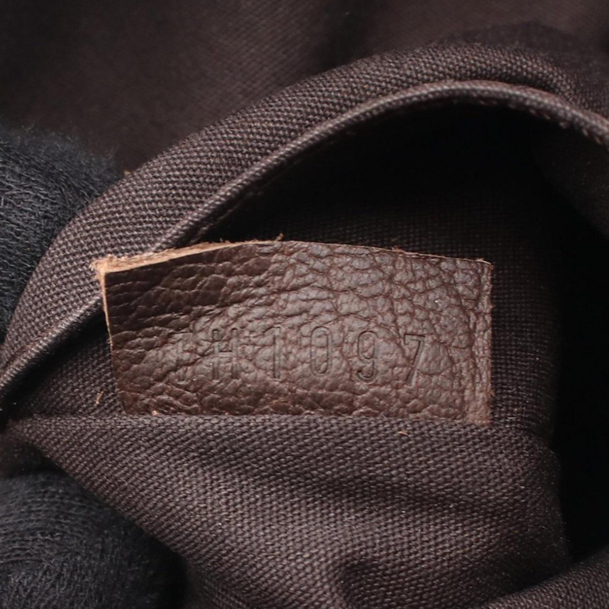 Louis Vuitton Monogram Mini Lin Danube