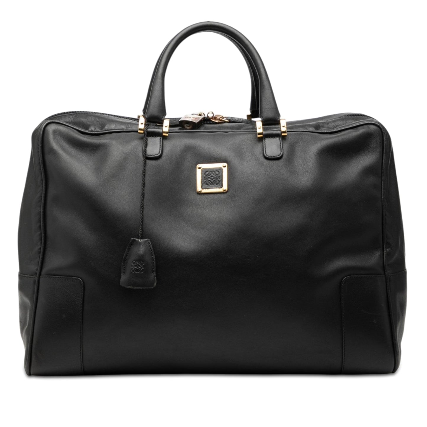 LOEWE Leather Amazona 40