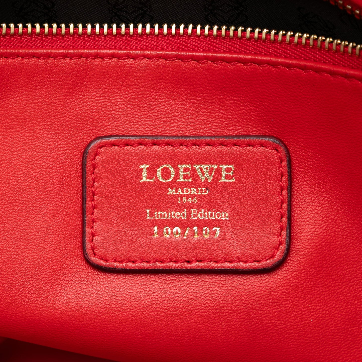 LOEWE Tricolor Leather Amazona 36