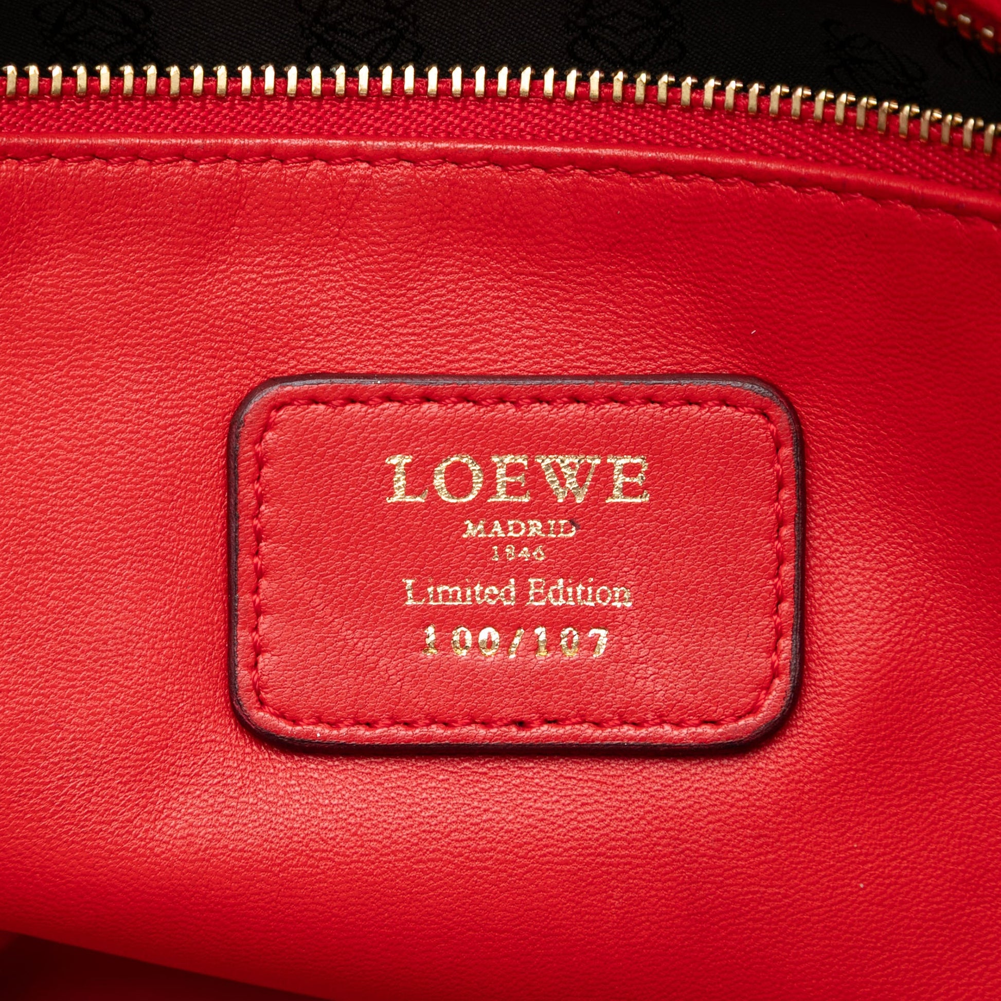 LOEWE Tricolor Leather Amazona 36