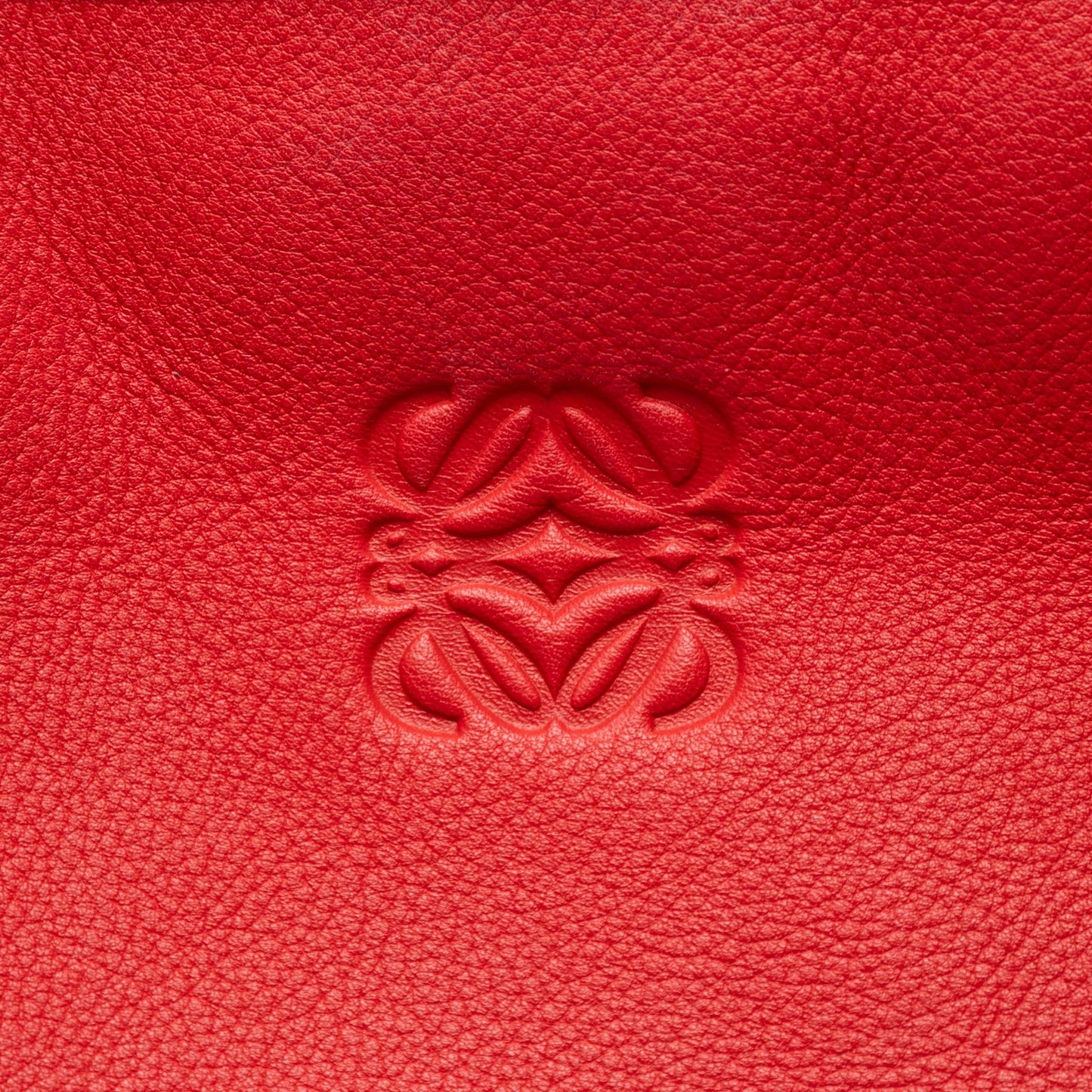 LOEWE Tricolor Leather Amazona 36